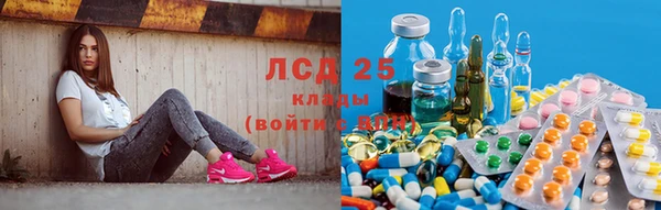 амф Арсеньев